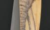 1515 Collection MM Elephant 4